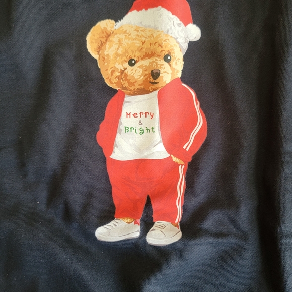 Xmas bear sweatshirt  11/12 - Picture 4 of 5